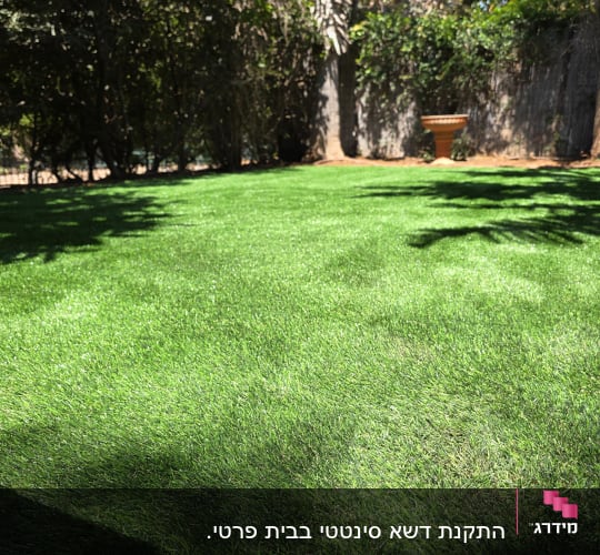 דשא ירוק וצללים בגינה עם עצים ברקע